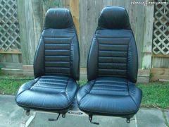 MSA_Leather_Seats_2