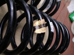 55020-E4102 rear springs