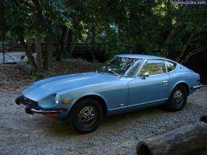260z in the forest