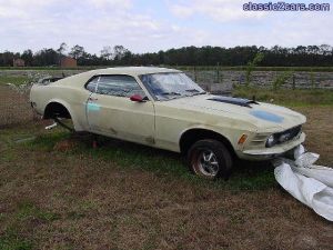 My Car. A 1970 Mustang Mach 1.