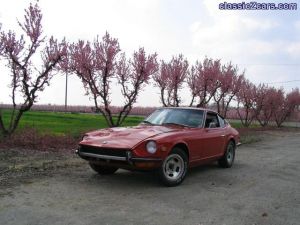 Blossom time in central Cal 1