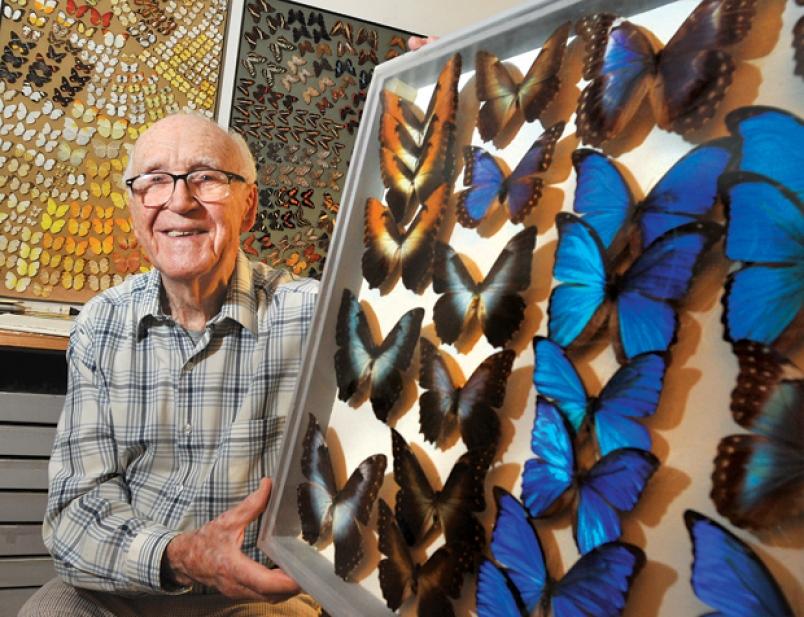 Prized butterflies donated to museum | North Shore News