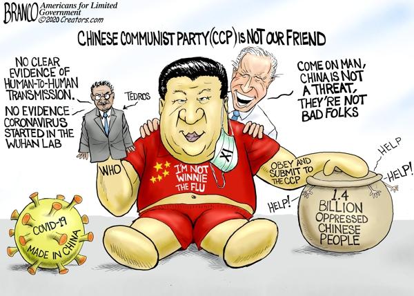 Alpha News on Twitter: "Additional new cartoon by @afbranco This Chinese  virus originated in the Wuhan Lab while the World Health Organization Lied  and Biden with the media blamed Trump.… https://t.co/YeWWAJ2SYd"