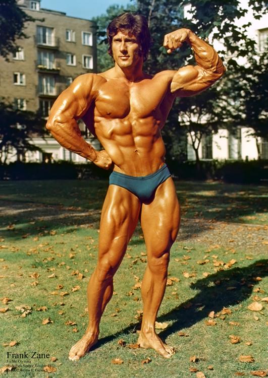 FRANK ZANE POSTER #1 - Large A2 - GMV Bodybuilding