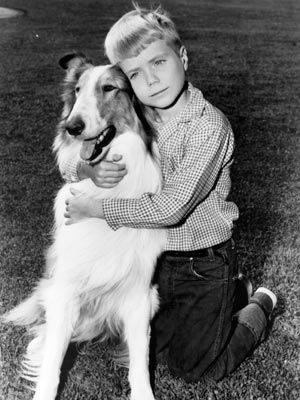 Lassie (Series) - TV Tropes