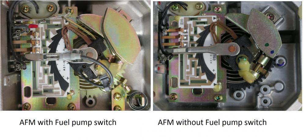 AFM-2.jpg