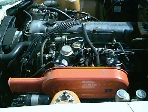 Jim_Fredericks_1969_Vin__16_engine.jpg