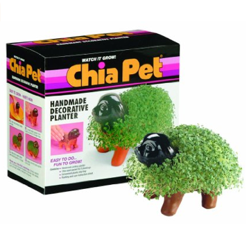 Chia pet.png