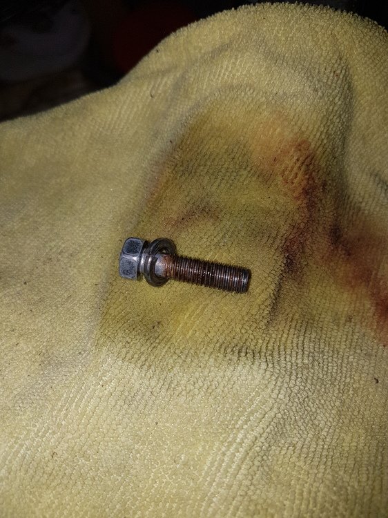 rusted bolt.jpg