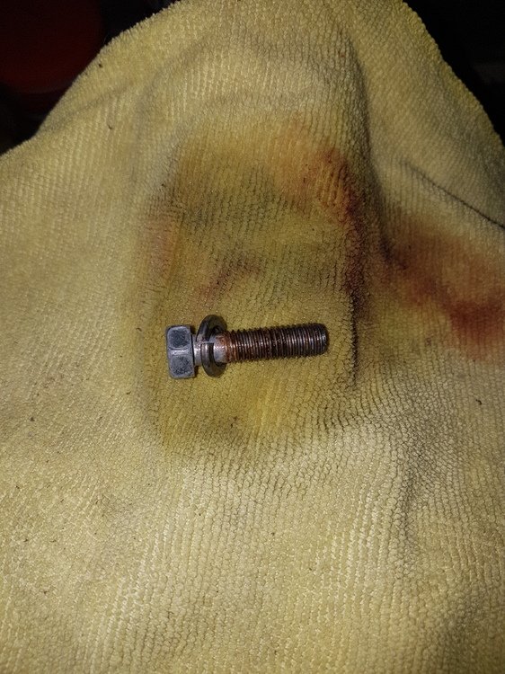 rusted bolt 2.jpg