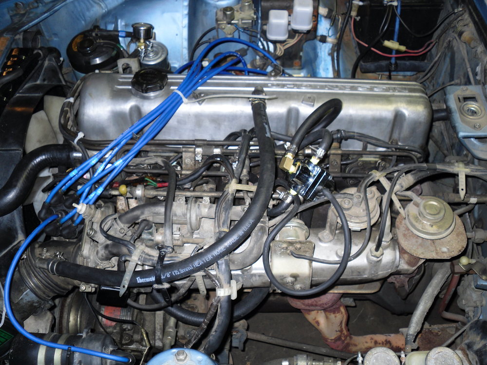 280 motor pre removal and Jelly 001.JPG