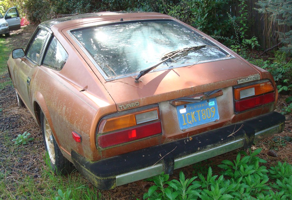 81 280ZX T g.JPG