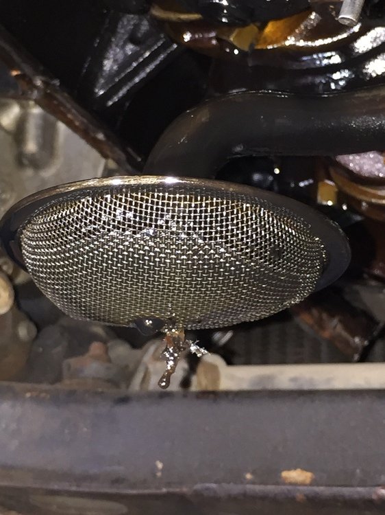 Oil Strainer 2.JPG