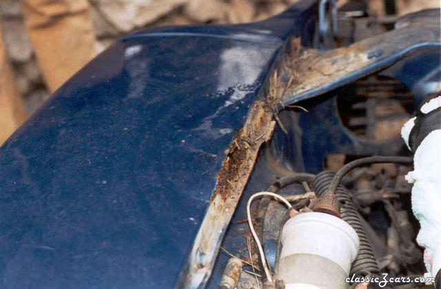 rust on the front fender