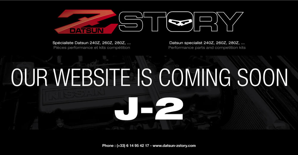 tease-Zstory-website-J-2.jpg