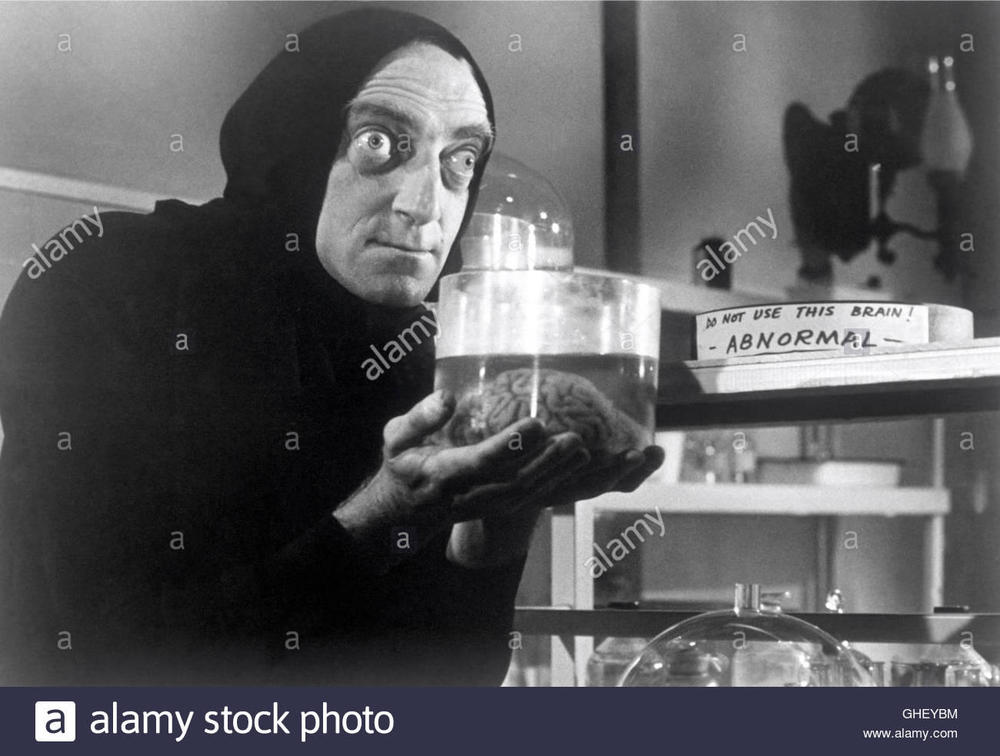 young-frankenstein-usa-1974-mel-brooks-igor-marty-feldman-has-a-brainy-GHEYBM.jpg