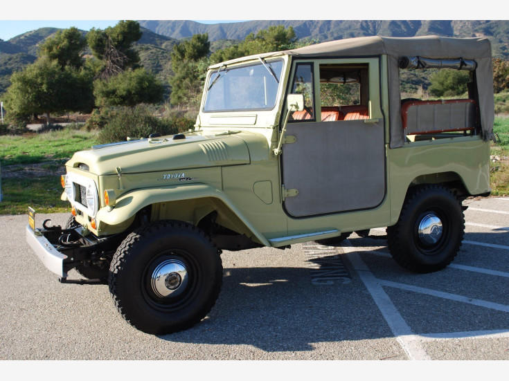 1964-Toyota-Land Cruiser-classic-trucks--Car-101228839-bcae6fae27cefc2b6c06f3121e4d9f96.jpg