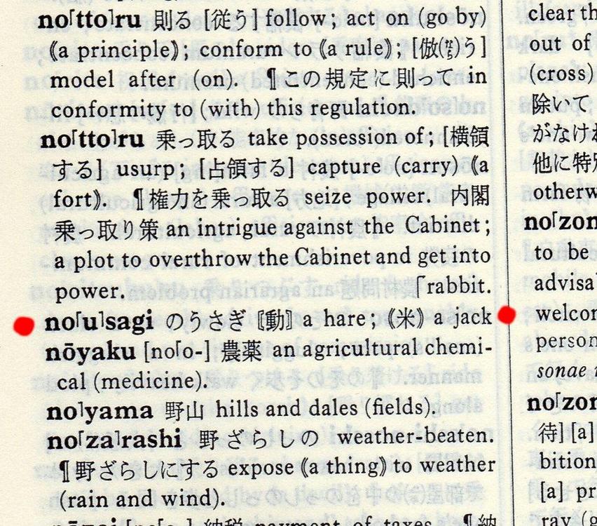 NoUsagi-Kenkyusha Dictionary.JPG