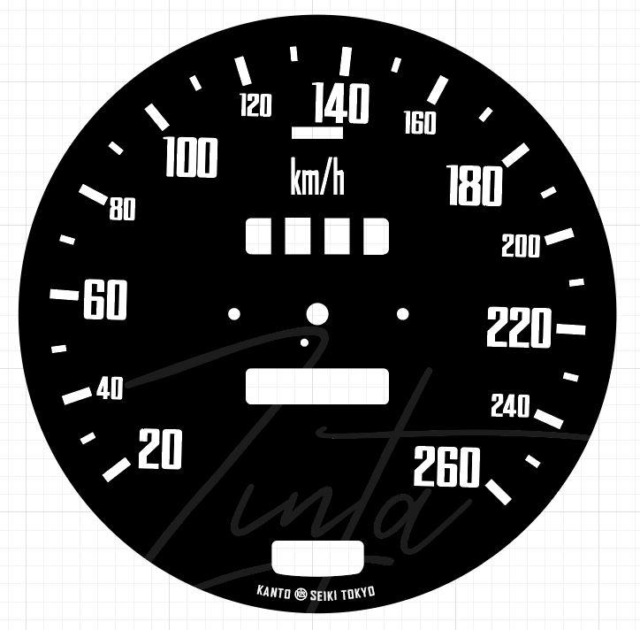 Speedo Metric Zinta R03.JPG