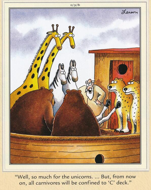 Farside Noah 1.jpg