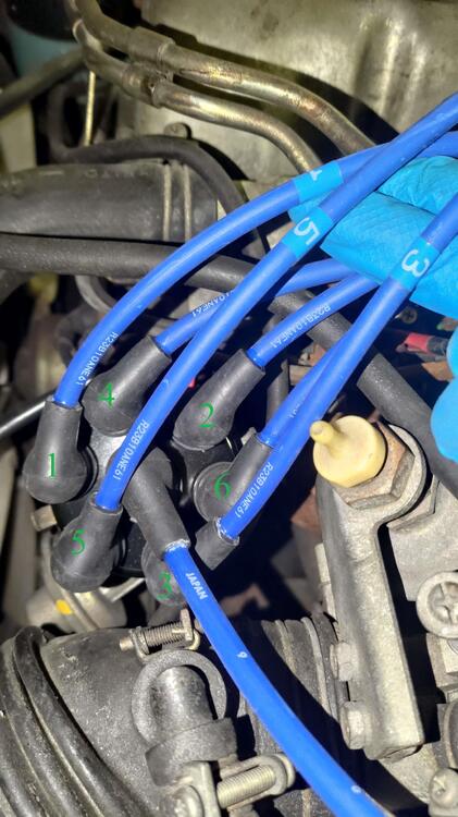 Coil wires numbered.jpg