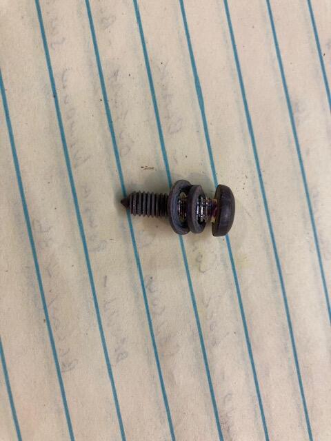 Headlight Bucket screw.jpg